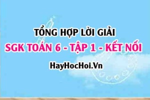 Giải Bài tập Toán 6 tập 1 SGK Kết nối tri thức và Cuộc sống